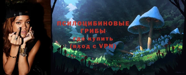 прущие грибы Алзамай