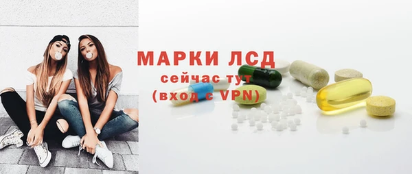 прущие грибы Алзамай