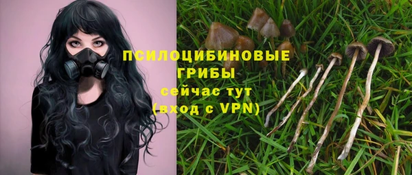 мяу мяу мука Абинск