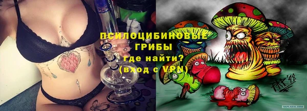 дмт Абаза