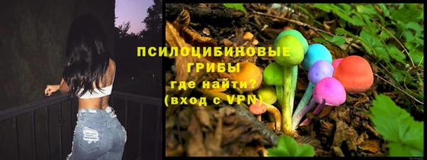 mix Алексин